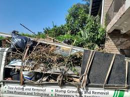 Types of Items We Remove From Your Property in West Freehold, NJ